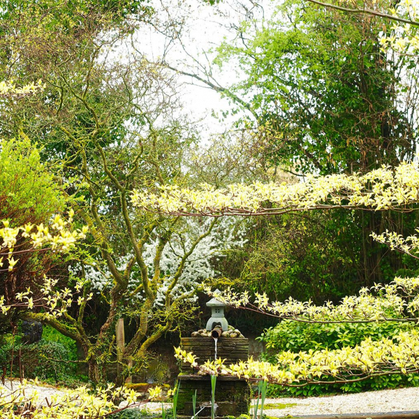 Jardins d’Albizia - Caumont-sur-Aure